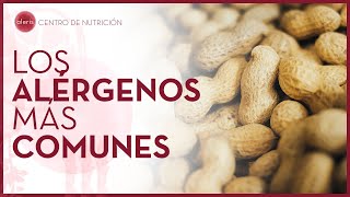 Los alérgenos más comunes  Introducción a las alergias e intolerancias alimentarias [upl. by Auqinihs239]