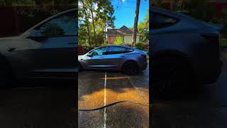 New Tesla Model 3 Performance Quicksilver automobile teslamodel3performance teslacar shorts [upl. by Kat266]