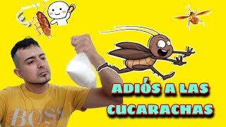 😯👉🏼 Esta es la MEJOR FORMULA para Eliminar las CUCARACHAS de su entorno 🪳 NO mas cucarachas [upl. by Heindrick]