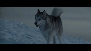 eight below 2006  old jacks and deweys death sad [upl. by Ellenhoj63]