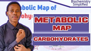 METABOLIC MAP CARBOHYDRATES Biochemistry Simplified with Dr Onas [upl. by Terrej]