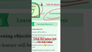 class 12 Bio Botany Chapter 7 Ecosystem one mark [upl. by Minetta]