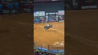 CINCH World’s Toughest Rodeo in Columbia SC CINCH chinchworldstoughestrodeo rodeo bullriders [upl. by Siuqaj643]