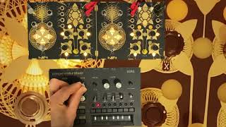 Folktek Alter X amp Y meets the Korg Monotribe  Techno Jam [upl. by Marcelo336]