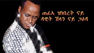 new eritrean music ዳዊት ሽላን ጋዕዳ dawit shilan gaadaeritreanmusic [upl. by Essirehc]