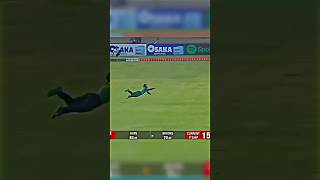 Cricket Flying Catch 😱Top 3 Flying Catch trendingshorts shortsfeed factshorts viralshorts [upl. by Sirrap]