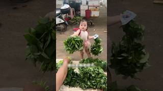 little girl goes to the market to buy vegetables shortvideo [upl. by Ferri993]