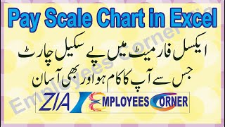 Pay Scale Chart in MS Excel Soft Copy  BPS Chart 2001 To 2022 Download Here  Employees Corner Zia [upl. by Nedyaj60]