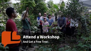 Join Free Tree Society’s Workshops and Help Grow a Greener Sustainable Future for Kuala Lumpur [upl. by Llegna210]