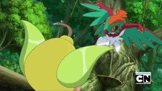 Pokemon Hawlucha vs Weepinbell [upl. by Ardeth]