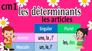 les déterminantsles articles apprendre le français [upl. by Yrome]