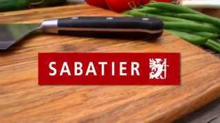 Introducing Sabatier [upl. by Zinck]