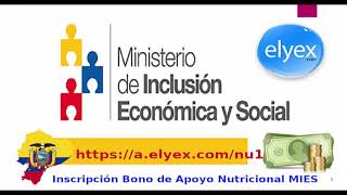 Cómo inscribirse al Bono de Apoyo Nutricional MIES wwwinclusiongobec consulta Ecuador emergencia [upl. by Atalanti]