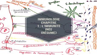 Immunologie chapitre 1  limmunite inée resume [upl. by Serle701]