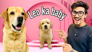 Leo Ka Baby  Papa Ban Gaya Leo  Anant Rastogi [upl. by Darom]