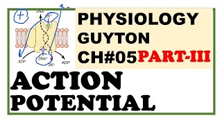 Chapter5PartIII  Action Potential  Depolarization  Repolarization Guyton Physiology [upl. by Cristy]