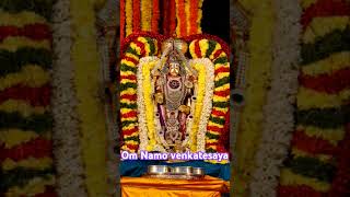 గోవిందాOm Namo venkatesaya 🙏 Tirumala tirupati valani devotional trending [upl. by Ledairam]