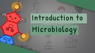 Introduction To Microbiology [upl. by Pugh828]