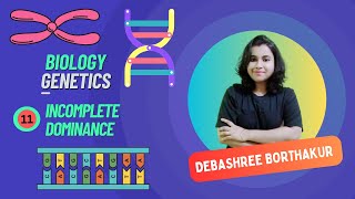 Lec11  Incomplete Dominance  Genetics  Debashree Borthakur biology genetics dominance [upl. by Ahern]