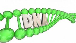 RNA Modification Guide  BOC Sciences [upl. by Nalym50]