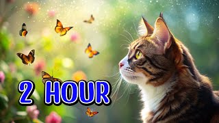 😺CAT GAMES l Cats vsButterfly 2 Hour of Engaging Screen FunVideos for Cats to Watch [upl. by Bloom]