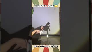 Shadow Artist Fact Video  kannada facts karnataka amazing youtubeshorts trendingshorts [upl. by Ronna]