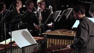 Steve Reich Music for 18 musicians  Armonia Ludus [upl. by Yettie807]