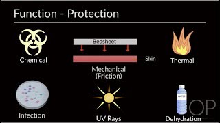 Skin Assessment and Wound Prevention by MJ Manning L DelSignore  OPENPediatrics [upl. by Akehs]