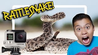 RATTLESNAKE BIT MY GOPRO [upl. by Miett]