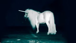 Top 10 Mythical Creatures Caught On Camera [upl. by Oreste]