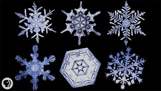 The Science of Snowflakes [upl. by Anastasie480]