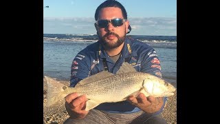 Matanzas Inlet Surf Fishing Mullet Run [upl. by Osy754]