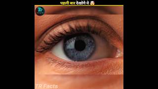 Amazing Facts About Eyes 🤯 shorts facts [upl. by Nytsirhc]