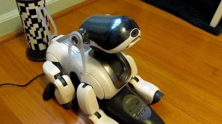 Cute and Smart Sony Robot Dog Aibo ERS7MP4 [upl. by Senior]