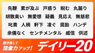 【デイリー語彙力 vol091】聞き流して語彙力アップ！【日本語・カタカナ語】 [upl. by Alliehs755]