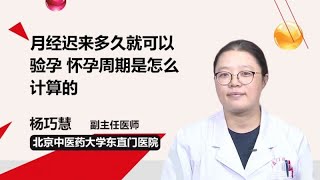 月经迟来多久就可以验孕 怀孕周期是怎么计算的 杨巧慧 北京中医药大学东直门医院 [upl. by Ellenhoj446]