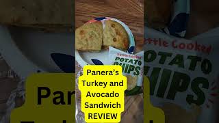 Panera Chipotle Chicken amp Avocado Sandwich Review  Quick Taste Test panerabread foodreview [upl. by Cavit]