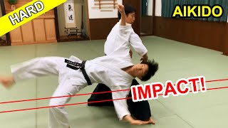 Impact Hard Aikido techniques [upl. by Aicella965]