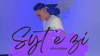 Ervin Qerimi  Syt e zi  Official Audio [upl. by Hellah]