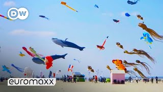 Biggest Kite Festival in Europe  Up in the Air in BercksurMer France [upl. by Llevra958]