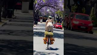 CYCLING INTO THE SPRING cycling cycle bike bikelife roadbike roadcycling [upl. by Edin533]