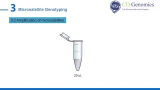 Microsatellite Genotyping [upl. by Remle705]