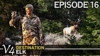 Is This Destination Grouse Change My Mind EPISODE 16 Destination Elk V4 [upl. by Akimik]