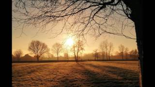 🎹Wesołe Relaksujące Pianino  Muzyka Relaksacyjna Muzyczne Tło🎧👍 [upl. by Shiff]