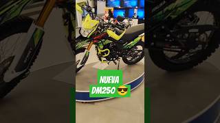 Continuamos con la nueva dm250 de italika motoscross motosdobleproposito [upl. by Norreht]