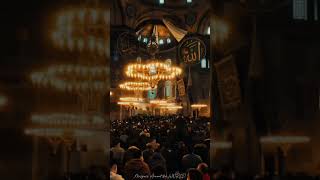 The Hagia Sophia is an iconic mosque and monument in Istanbul Turkey mosque fyp viralvideo [upl. by Suiratnauq949]