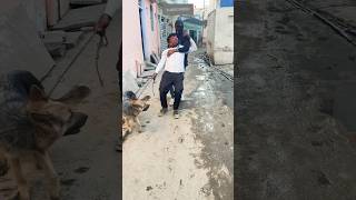 German Dog ne Bacchae Apnea Malik ki Jaan doglover shots short doglover shortsgerman [upl. by Enileda313]