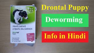 Drontal Puppy Deworming Medicine Information in Hindi [upl. by Olvan]