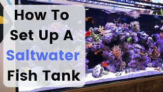 How To Set Up Build A Saltwater Fish Tank  Aquarium [upl. by Annaira]