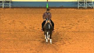 2012 AQHA Reining World Champion  LIL JOE CASH [upl. by Malvie]